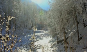 Umgebung Werdenfelser Land