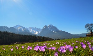Umgebung Werdenfelser Land